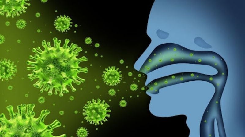 Virus cúm B lây từ người sang người thông qua giọt bắn có chứa virus cúm trong không khí