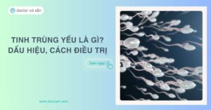 Tinh trùng yếu là gì? Dấu hiệu tinh trùng yếu, cách điều trị