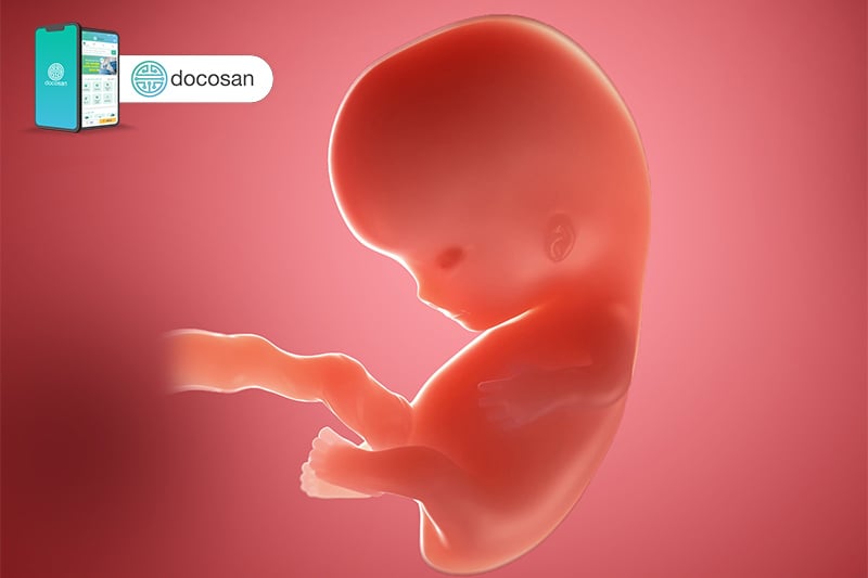 3 biểu hiện chứng tỏ thai nhi thông minh bẩm sinh từ trong bụng mẹ