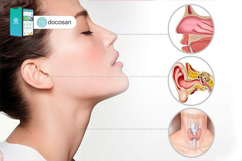 các bệnh tai mũi họng