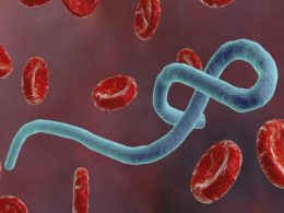 nhiem-virus-ebola