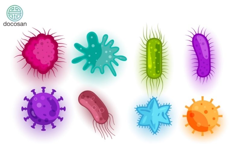 Nhiễm vi khuẩn, virus, ký sinh trùng là nguyên nhân gây ra huyết trắng như bã đậu
