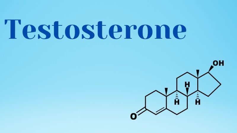 Hormone sinh dục nam testosterone tăng cao trong giai đoạn dậy thì là nguyên nhân chính của hiện tượng mộng tinh