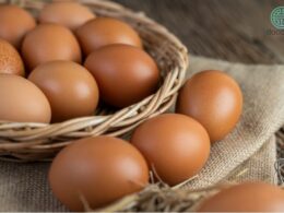 cách chữa yếu sinh lý bằng trứng gà