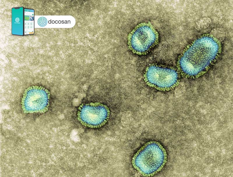 virus cúm B