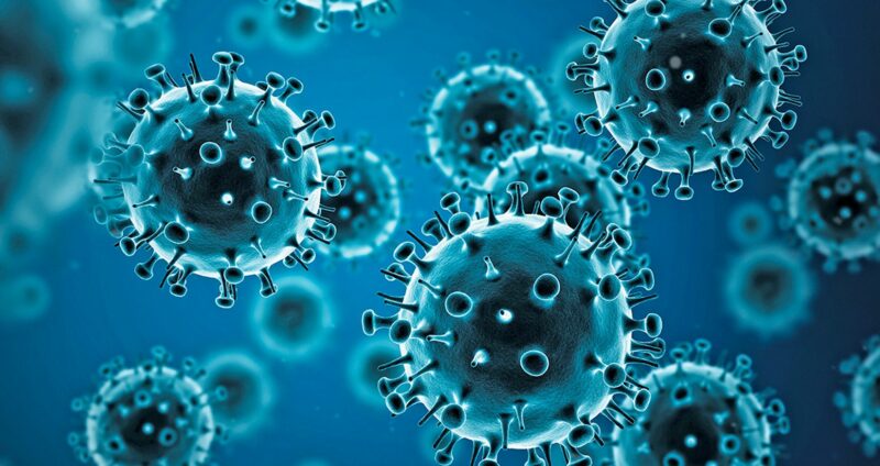 Rhinovirus là tác nhân phổ biến gây ra tới 50% ca bệnh cảm lạnh thông thường