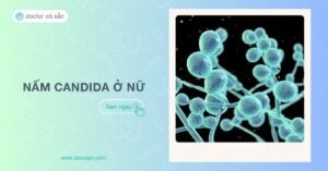 Nấm candida ở nữ: Nguyên nhân, điều trị và phòng ngừa