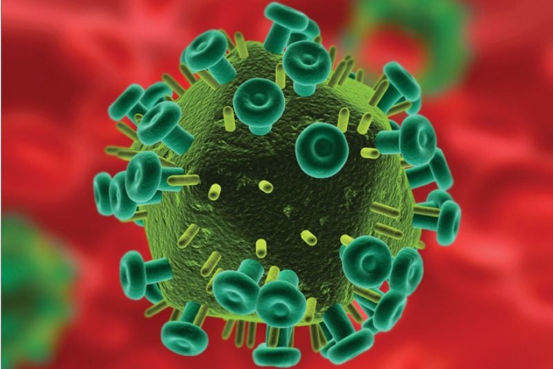 Hình ảnh minh họa virus HIV