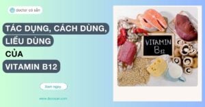 Vitamin B12 là thành phần dinh dưỡng quen thuộc trong các bữa ăn và thực phẩm chức năng bổ sung hàng ngày