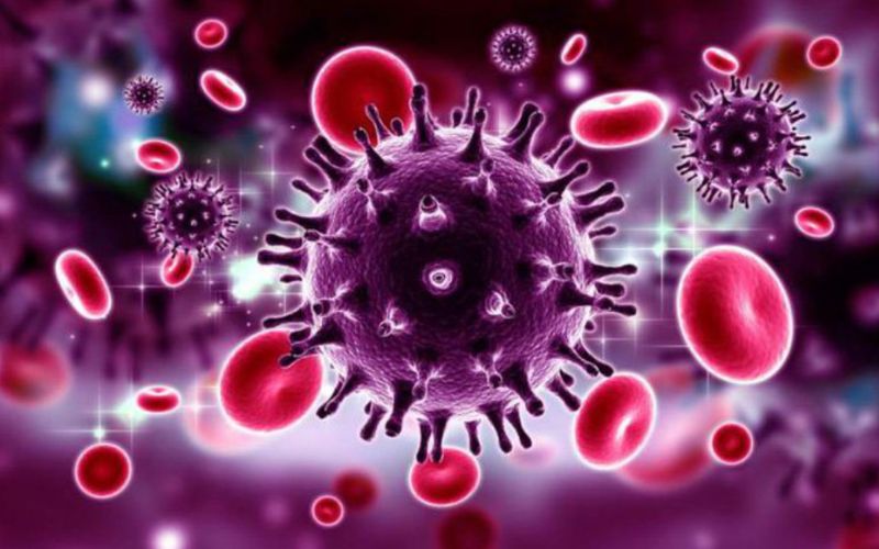 Cấu trúc phân tử ARN của virus HIV