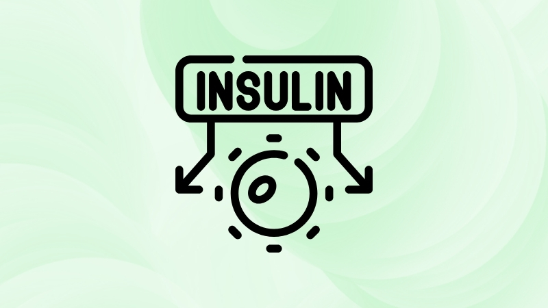 Insulin là gì