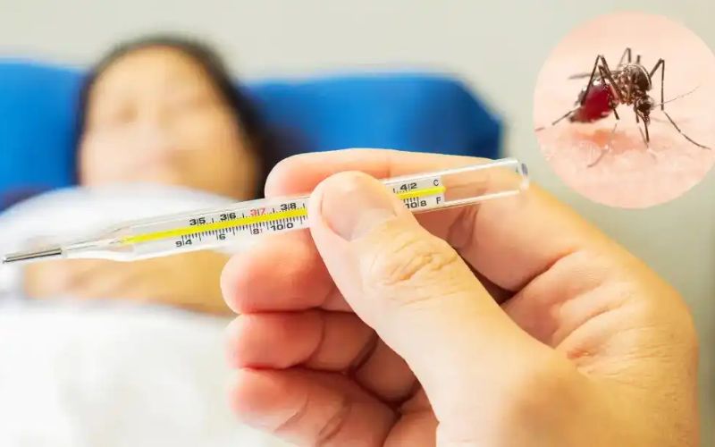 Sốt xuất huyết Dengue là một trong những nguyên nhân làm tăng chỉ số HCT