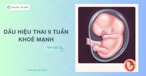 Dấu hiệu thai 9 tuần khỏe mạnh. Sự thay đổi của mẹ và thai nhi