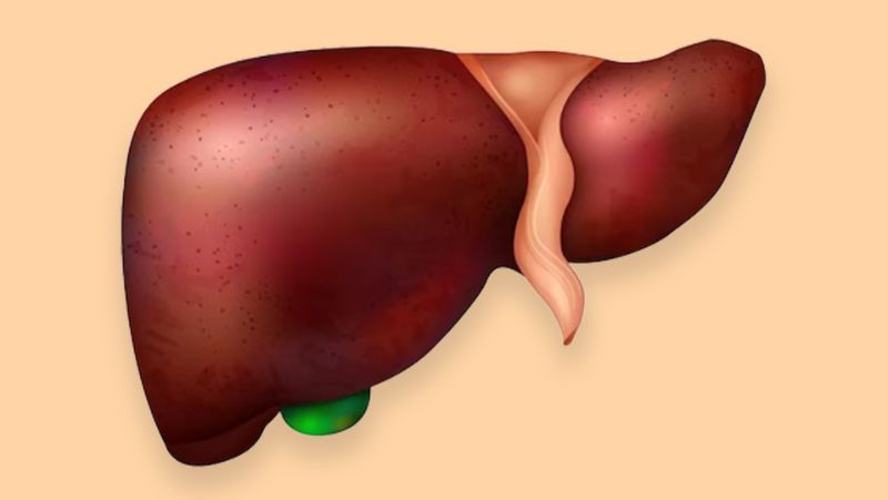 Cholesterol có nguồn gốc từ gan và chế độ ăn uống