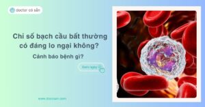 Chỉ số bạch cầu bất thường có đáng lo ngại không? Cảnh báo bệnh gì?