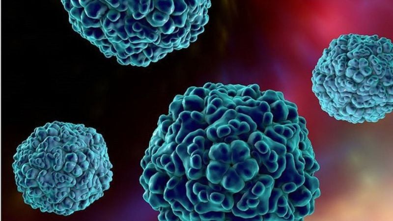 Bệnh tay chân miệng gây ra do nhiễm virus thuộc nhóm Enterovirus, phổ biến là virus Coxsackie A16 và Enterovirus 71