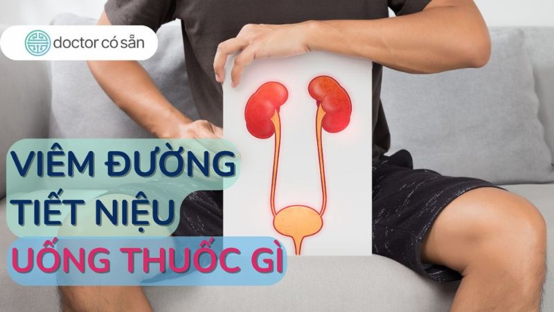 Viêm đường tiết niệu uống thuốc gì cho nhanh khỏi?