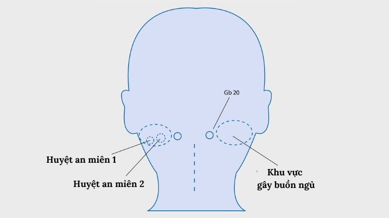 Huyệt an miên nằm ở hai bên cổ, phía sau gáy