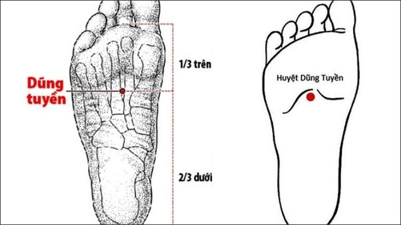 Huyệt dũng tuyền nằm ở lõm phía trên lòng bàn chân