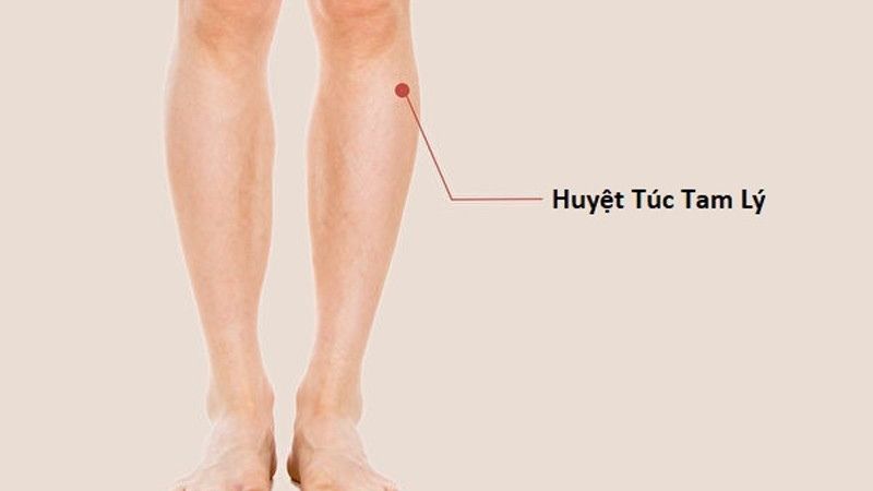 Bấm huyệt Túc tam lý giúp kích thích lưu thông máu ở vùng bắp chân