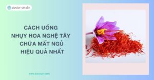 Cách uống nhụy hoa nghệ tây chữa mất ngủ hiệu quả nhất