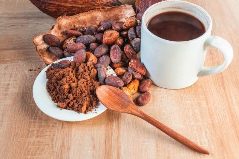 Ca cao là nguyên liệu chính tạo nên hương vị của sữa Milo