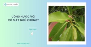 Uống nước vối có thể gây mất ngủ nặng hơn