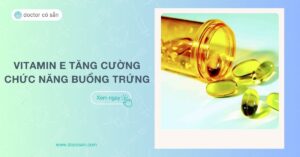 Vitamin E tăng cường chức năng buồng trứng: Cải thiện hiệu quả sinh sản