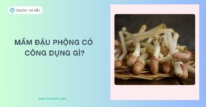 Mầm đậu phộng có tác dụng gì? Thức uống mầm đậu phộng thuần chay tốt