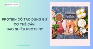 Protein có tác dụng gì? Cơ thể cần bao nhiêu protein là đủ?