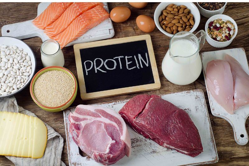 Protein là một chất dinh dưỡng cần thiết trong bữa ăn hàng ngày