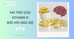 Với khả năng chống oxy hóa mạnh mẽ, vitamin E không chỉ giúp bảo vệ tế bào thần kinh khỏi sự tổn thương mà còn đóng vai trò quan trọng trong việc duy trì chức năng não bộ