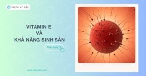 Vitamin E và khả năng sinh sản: Những lợi ích bất ngờ