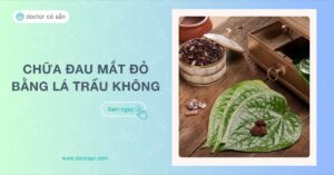 Chữa đau mắt đỏ bằng lá trầu không Có hiệu quả không