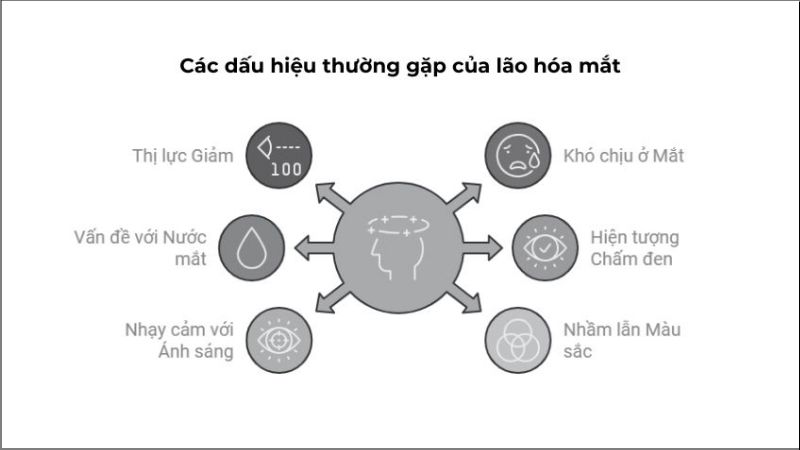 Các dấu hiệu thường gặp của lão hóa mắt