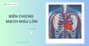 biến chứng mạch máu lớn ở người đái tháo đường