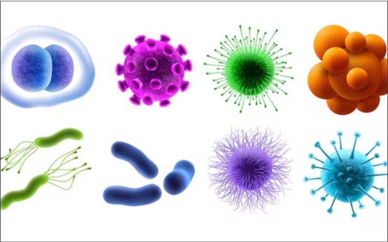 Viêm loét giác mạc có thể xảy ra do nhiều tác nhân như vi khuẩn, virus, ký sinh trùng, nấm,...