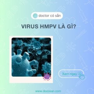 Virus HMPV là gì? Cập nhật mới nhất về loại virus gây viêm phôi