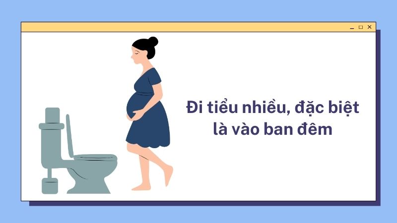 Dấu hiệu sớm nhận biết tiểu đường thai kỳ là tình trạng đi tiểu nhiều, đặc biệt là vào ban đêm.