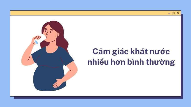 Khi bạn đi tiểu nhiều, cơ thể sẽ mất nước nhanh hơn, do đó bạn sẽ cảm thấy khát và cần uống nước thường xuyên