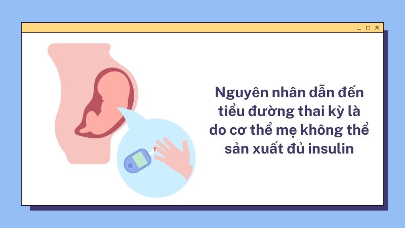 Nguyên nhân đái tháo đường là do cơ thể mẹ bầu không thể sản xuất đủ insulin