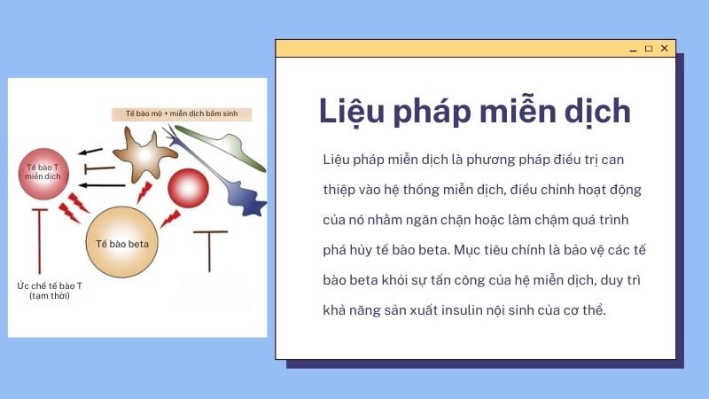 Liệu pháp miễn dịch trong điều trị đái tháo đường type 1