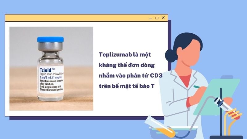 Thử nghiệm thuốc miễn dịch Teplizumab làm chậm sự tiến triển của đái tháo đường type 1 ở giai đoạn đầu.